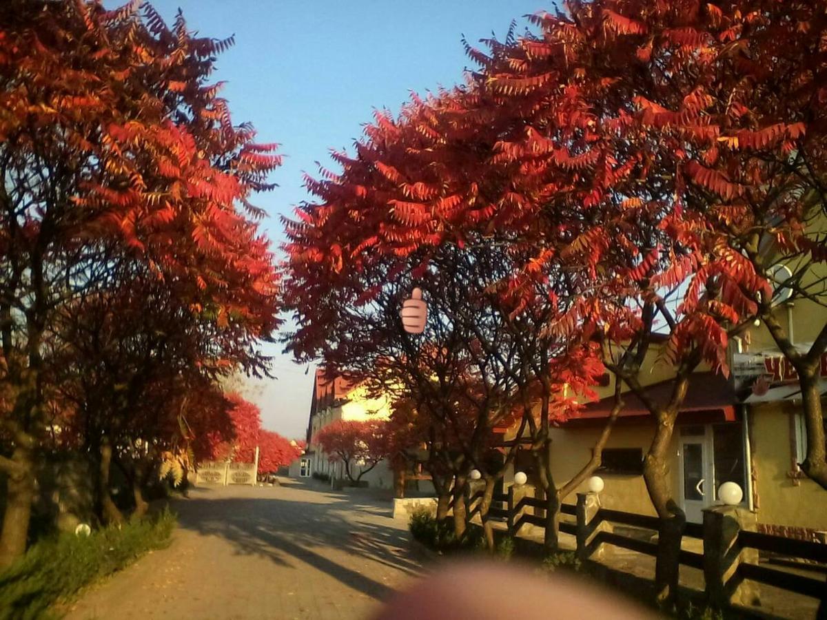伊万诺-弗兰科夫斯克 扎巴瓦宾馆酒店 外观 照片